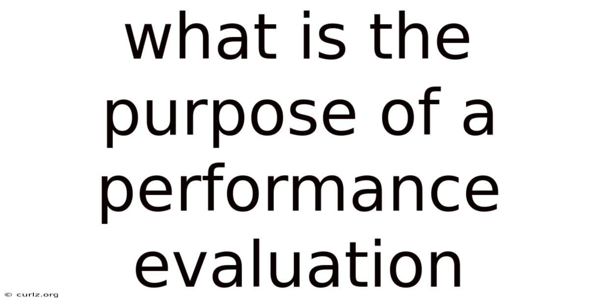 What Is The Purpose Of A Performance Evaluation